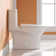 Ally Dual-Flush Elongated One-Piece Toilet with Glazed Surface Modern Toilet with Comfort Seat Height  (Seat Included)