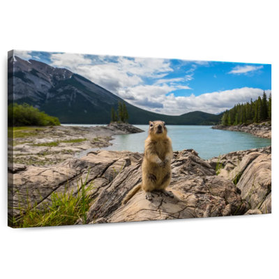 Brampt adorable Chipmunk