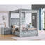 Lit Valesia-1230379886-1230379891