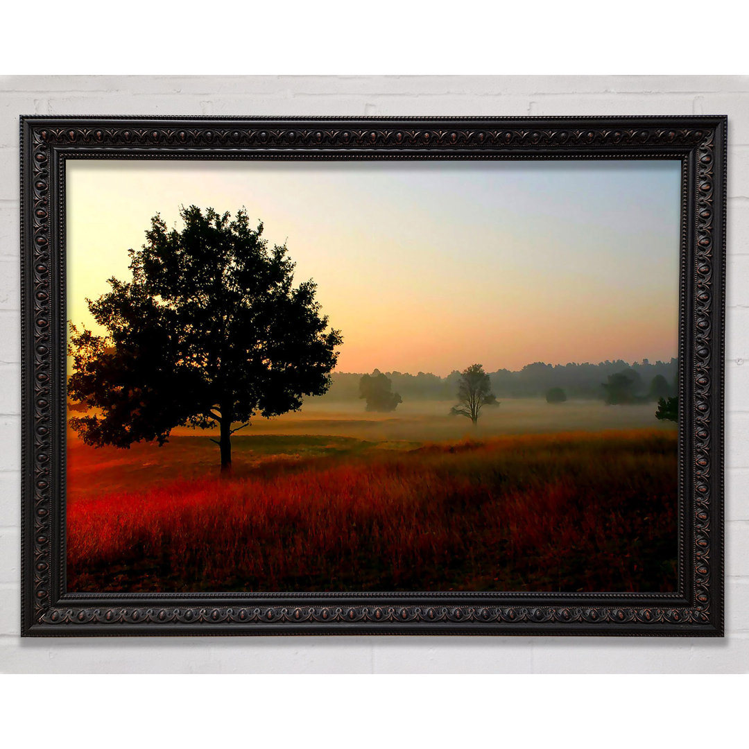 Herbstsonnenaufgang Baum im Nebel - Einzelne Bilderrahmen Kunstdrucke