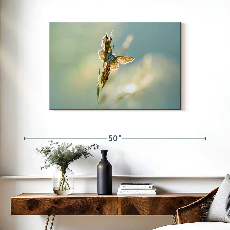 Brampt Icarus Butterfly, 24" H x 36" W