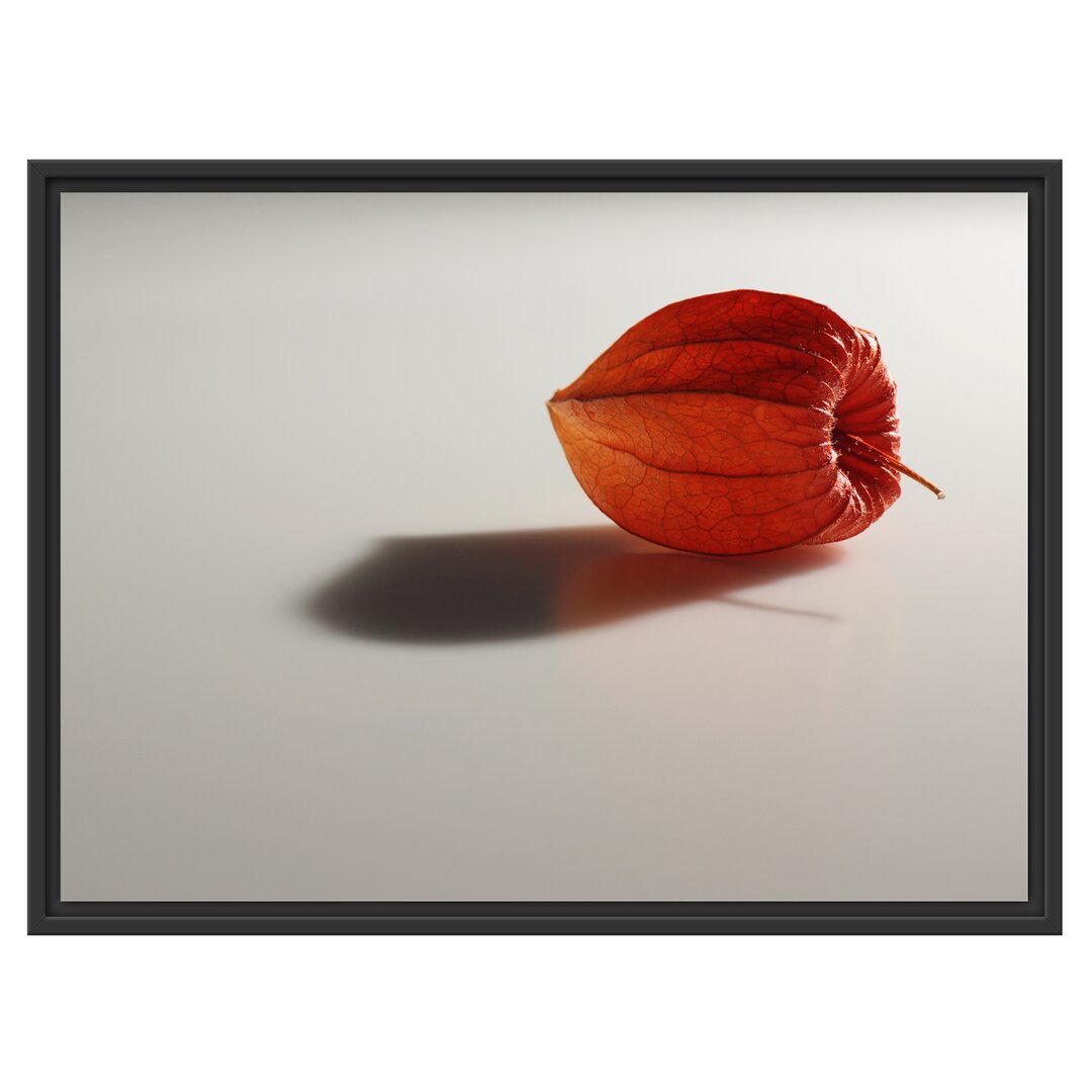 Gerahmtes Wandbild kleine Physalis