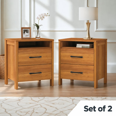 Wilder 22.7" 2 Drawer Nightstand