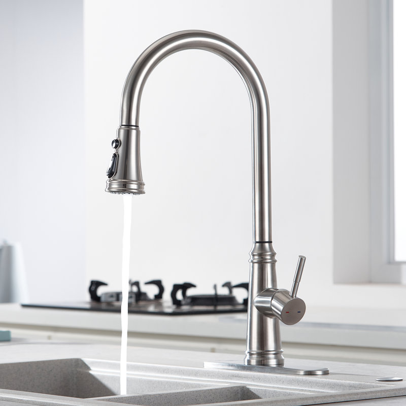 Robinet d'évier de cuisine extractible