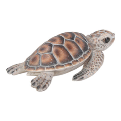 Petite tortue de mer