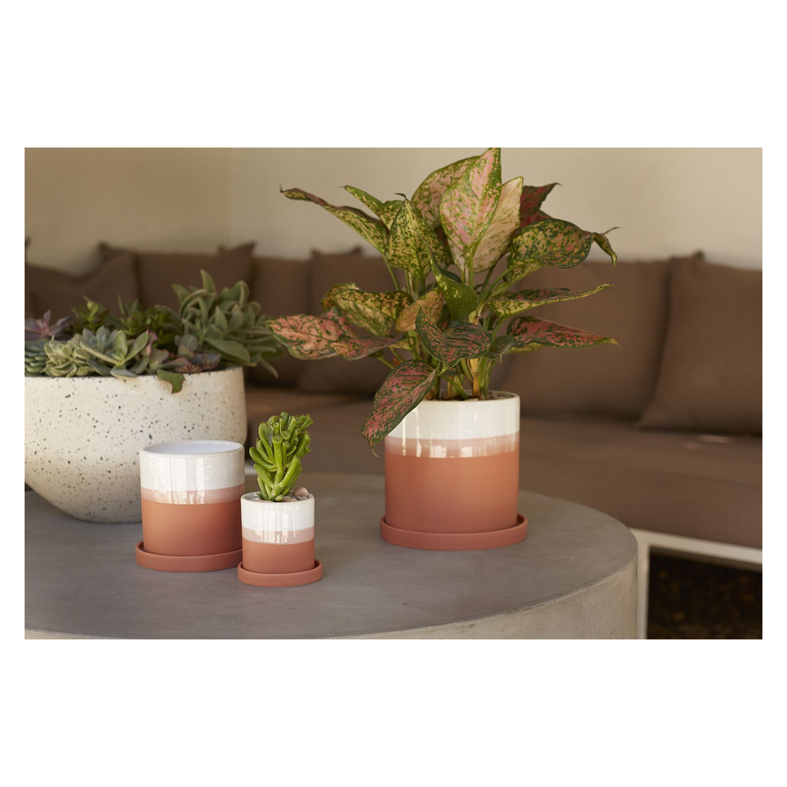Edson Handmade Ceramic Pot Planter, 6" H x 6.25" W x 6.25" D