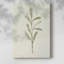 Olive Leaves III -Galerie enveloppée Cavas