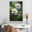 Lotus blanc pur Harnek-108595502