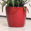 Classico Pot Planter-16493169
