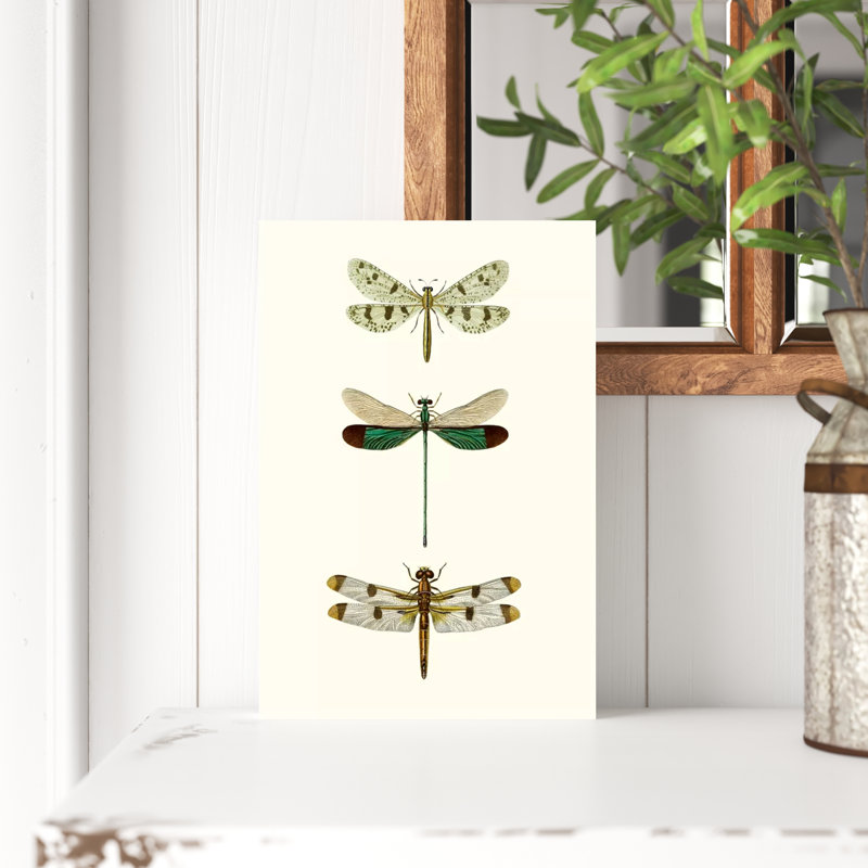 «Entomology Series VII», peinture sur toile, H 12 po x l 8 po