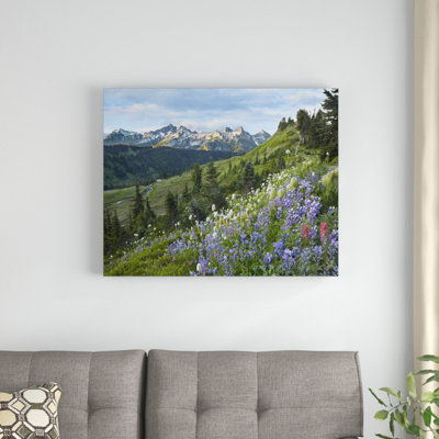 " Wildflowers And Tatoosh Range "