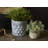 Cache Ceramic Pot Planter-55830363