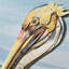 Décoration murale Pelican