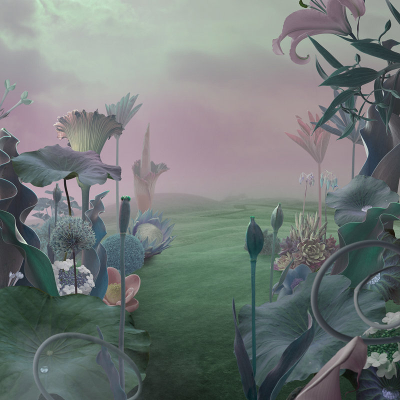 Surreal Garden Background by Vizerskaya - Wrapped Canvas Print, 91cm H x 91cm W x 3.8cm D