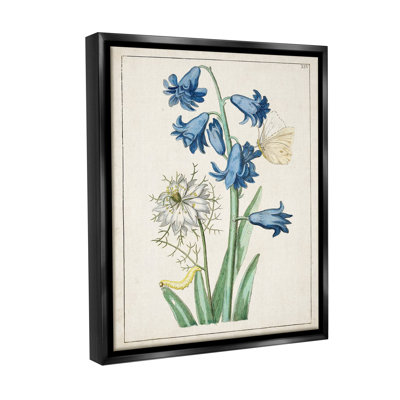 «Nature Bulbs With Moth Floater Frame» par World Art Group sur