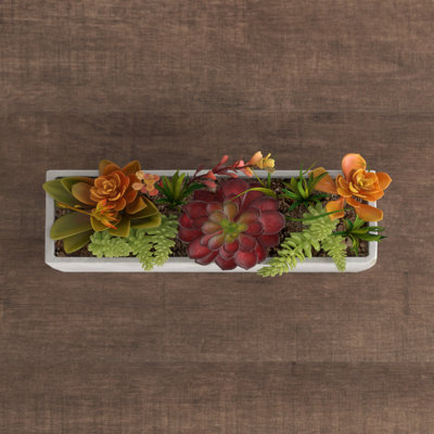 Sydnee 19cm Succulent in Cement Planter