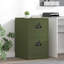 Storage Cabinet-1733305507