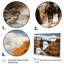 «Western Cattle Drive Memories» sur toile-1652402506-1652402511