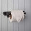 Bernyce Wall Mounted Toilet Paper Holder