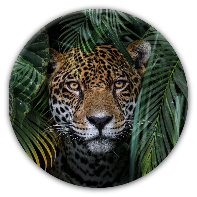 Glasspik Ring Art - No Frame Print