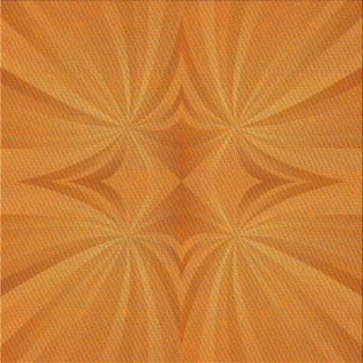 Indoor Rug
