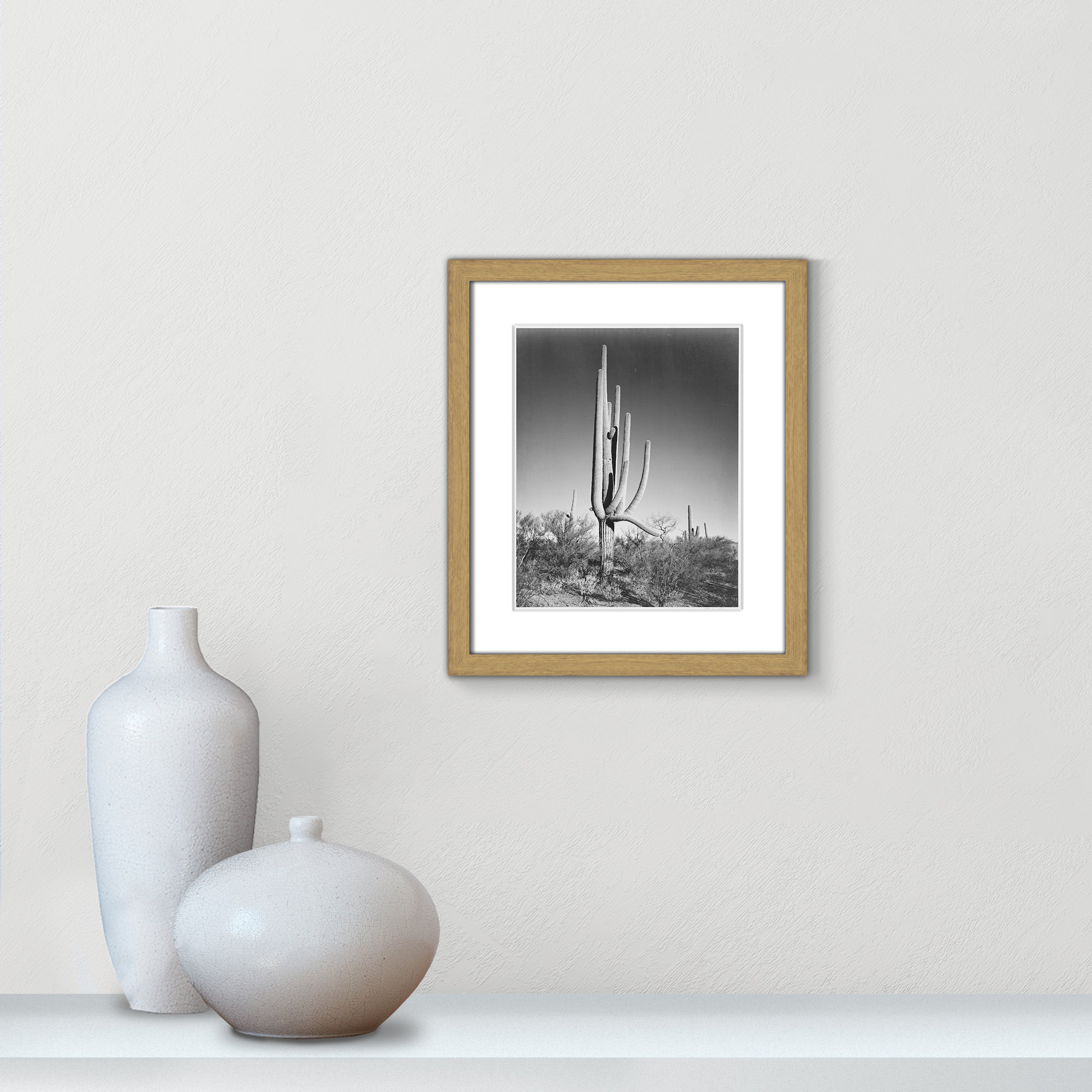 Cactus In Saguaro National Monument In Arizona by Ansel Adams, Natural, 15" H x 13" W x 0.75" D