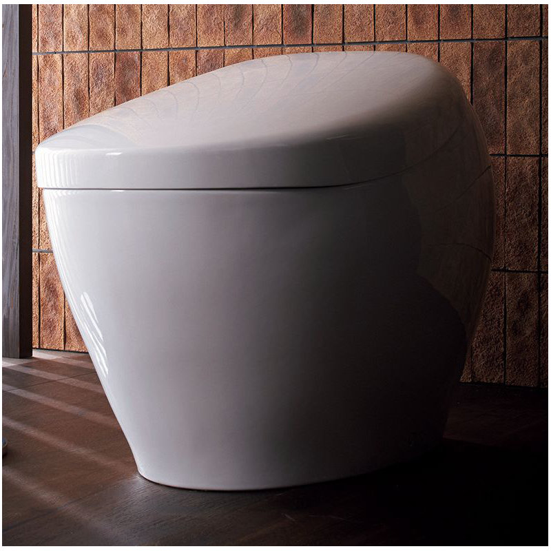 Neorest® Dual-Flush Elongated One-Piece Toilet with High-Efficiency Flush (Seat Included)