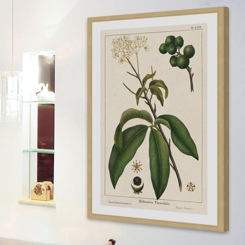 «Honeyberry», reproduction encadrée, H 36 po x l 24 po x P 1,5 po
