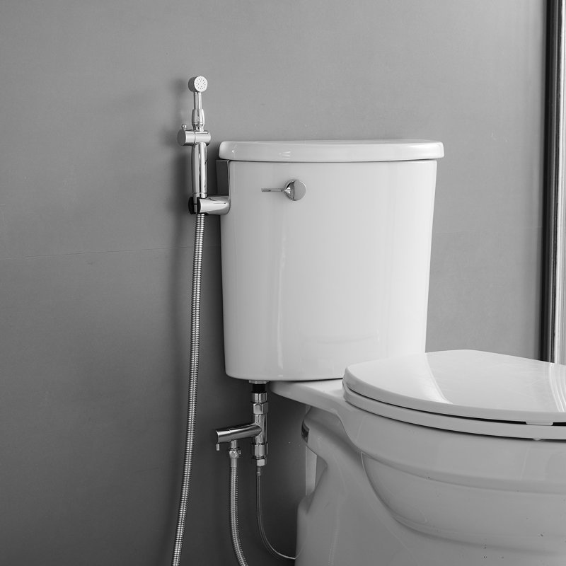 Hand Held Bidet, Chrome