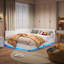 Modern Teddy Fleece Daybed With USB Port & LED Light, Upholstered Bed Frame-22114145-22114172