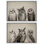 Oiseaux, animaux, hiboux, animal, 2 pièces-100135988-100135987