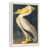 Floating Frame White