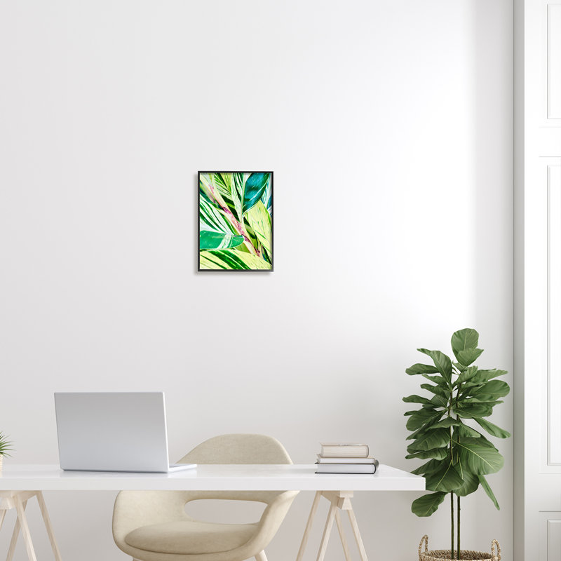 Feuilles de plantes tropicales, Giclée encadrée noir minuit, H 14 po x l 11 po x P 1,5 po