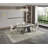 Rh Morandi Extension Table