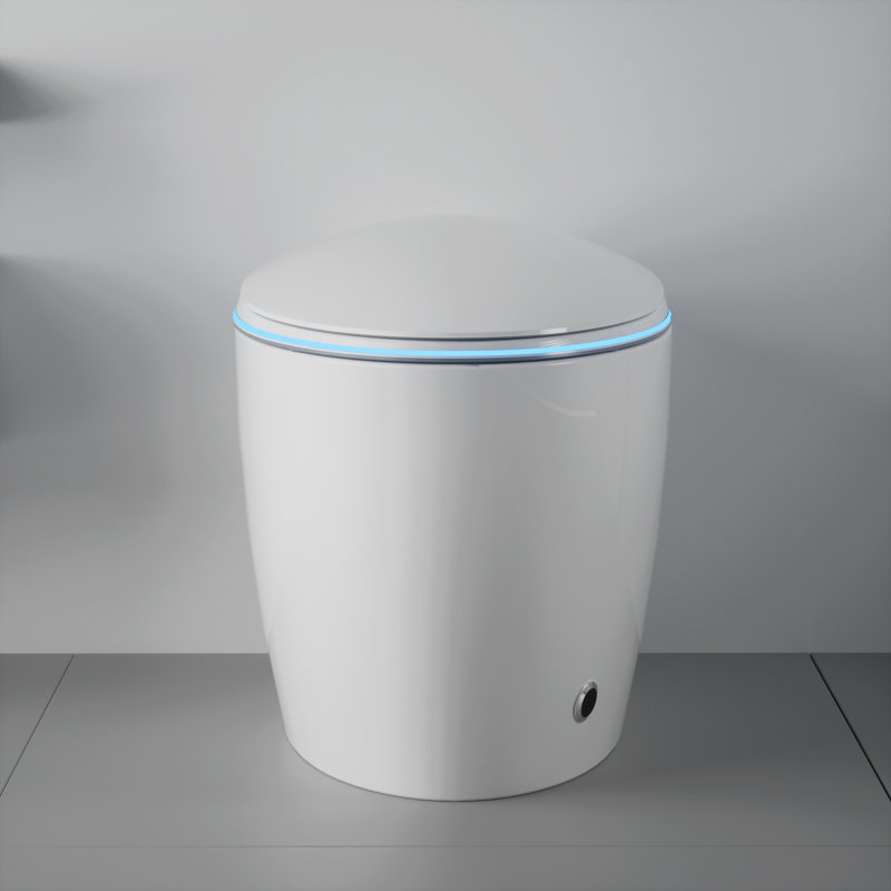 Yingze Luxury Smart Toilet with Bidet, Elongated One-Piece Toilet with Auto Flush, Heated Seat & Dryer, LED Night Light, Side Button & Remote Control, 1.28 GPF