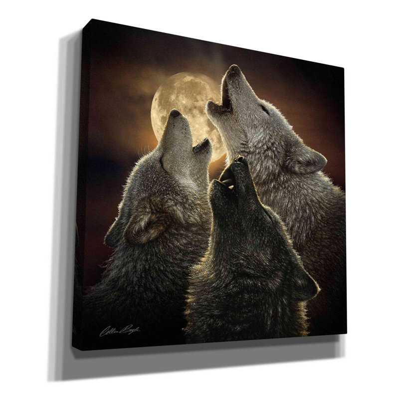 «Millen Pines» «Wolf Trinity» par Collin Bogle, art mural sur toile, H 26 po x l 26 po x P 1,5 po