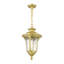 Luminaire suspendu d'extérieur 1 lumière H 17,5 po Franchino Gold