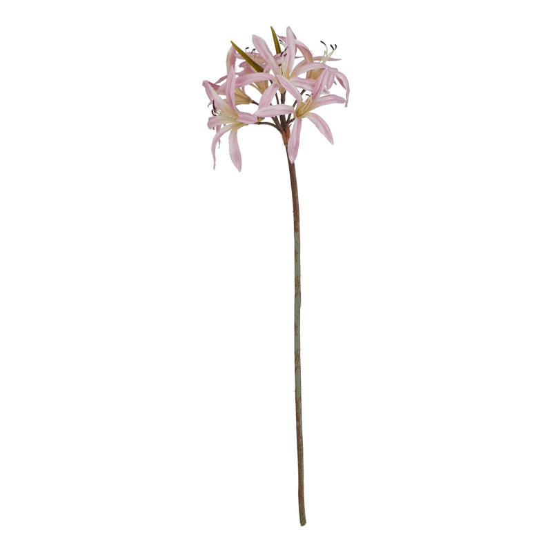 The Natural Garden Collection Nerine Lily Stem, Pink