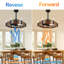 Ventilateur de plafond 24 po Farmhouse