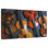 Collection Of Violins