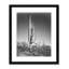 «Cactus In Saguaro National Monument In Arizona», reproduction de photo sur papier encadrée-63616242-63616252