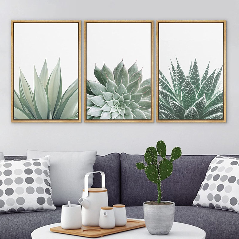 " Desert Cactus Succulent Variety Nature Wilderness " 3 - Pieces, 24" H x 48" W, Brown