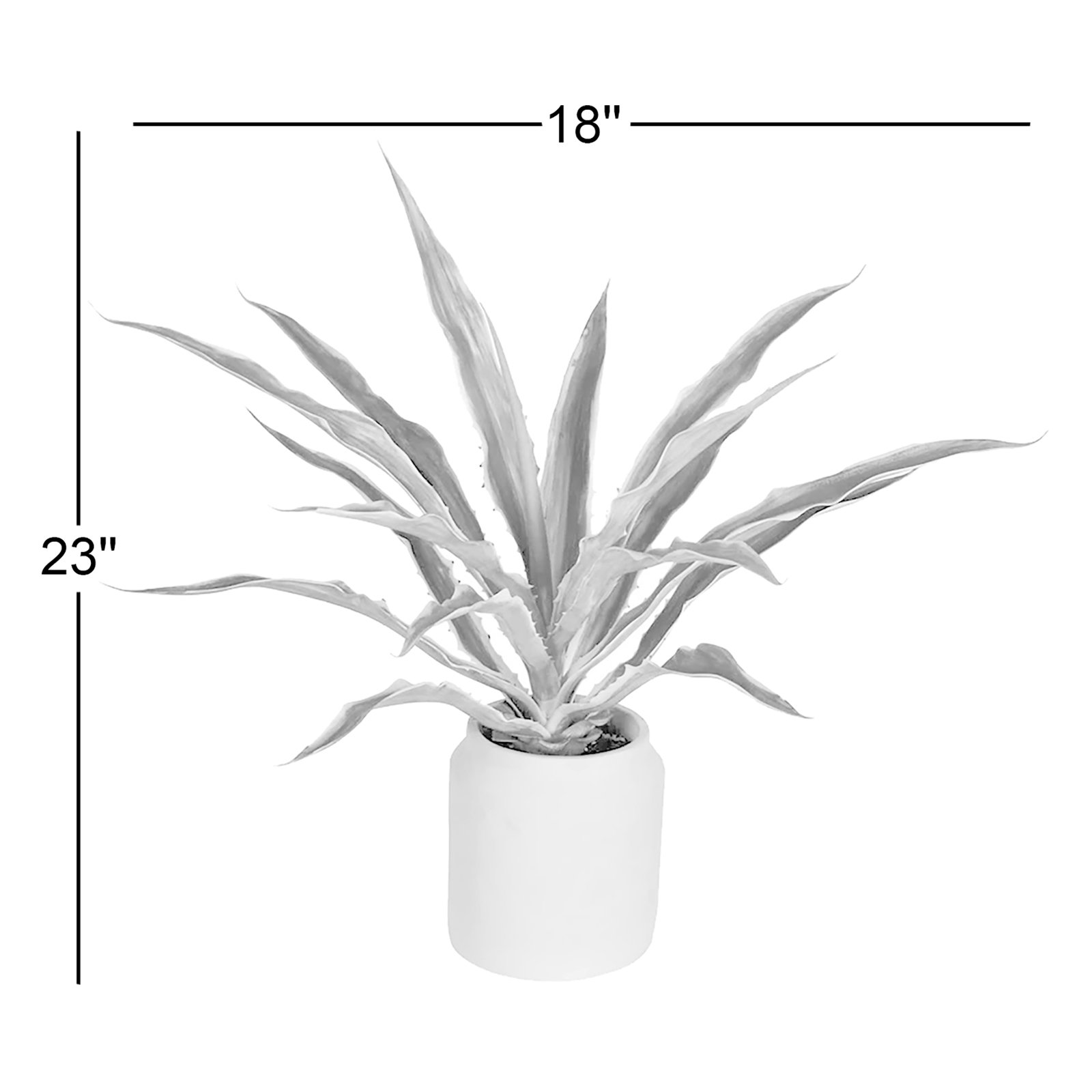 23" Yucca Plant in Pot