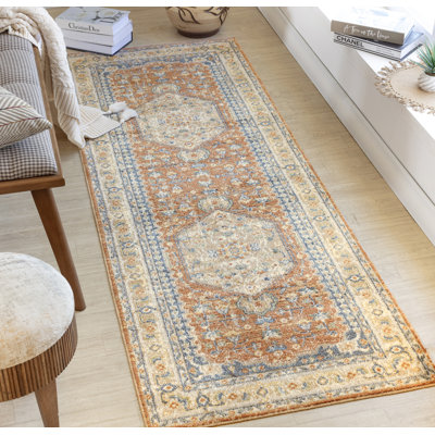 Machine Washable Traditionnal Boho Burnt Orange Area Rug