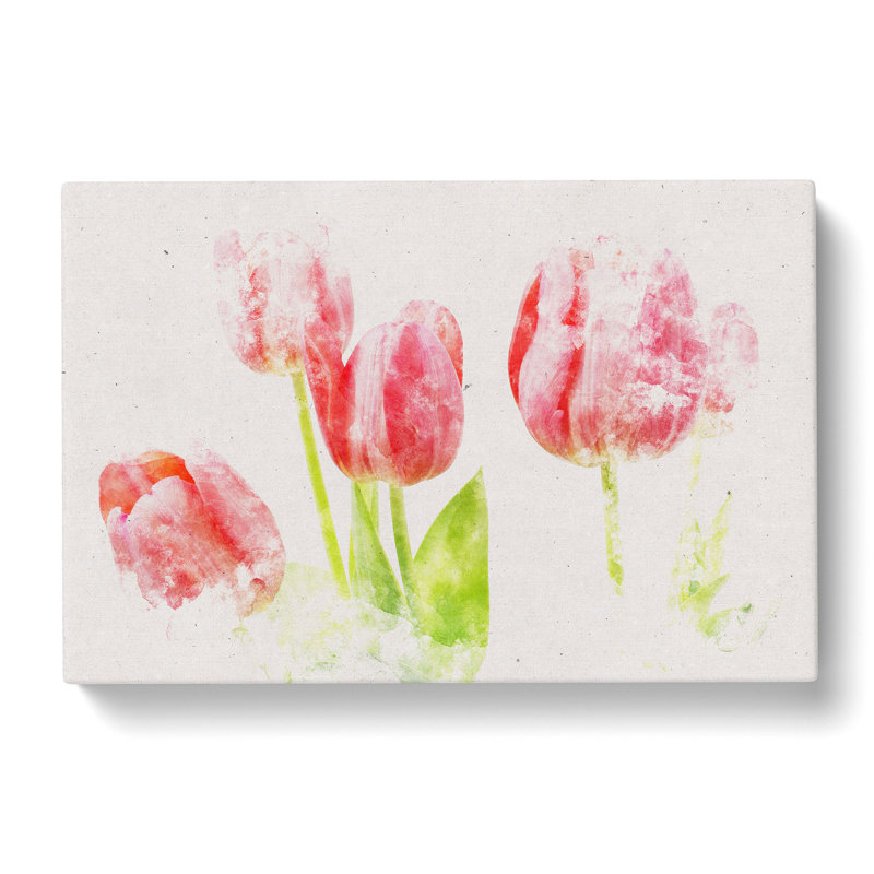 Beautiful Pink Tulips - Wrapped Canvas Print, 35cm H x 50cm W x 3cm D