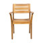 Chaises de salle à manger 2, bois pour la cour. , To Oxydation, 21,8 pouces de profondeur. Finition, apparence élégante, largeur 23,04-1819518388