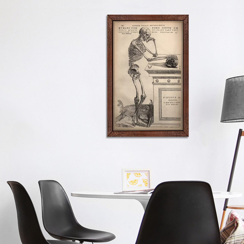 De Humani Corporis Fabrica Skeleton Standing by Vesalius - Print on Canvas, 101.6 cm H x 66.04 cm W, Brown Framed