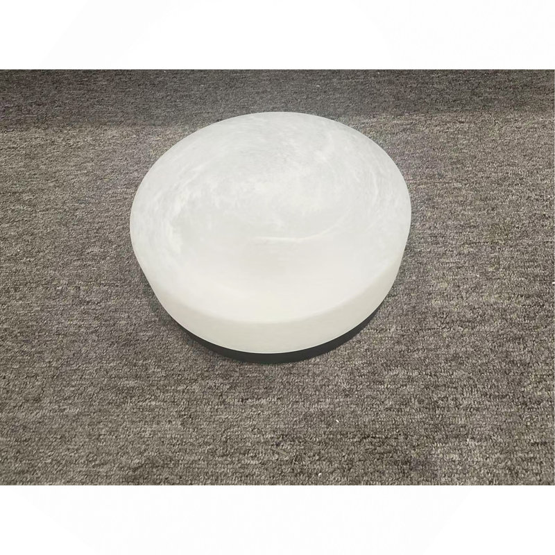 Plafonnier DEL 12 pouces, plafonnier encastré 24 W, plafonniers ronds à profil bas pour chambre à coucher, salon, salle à manger (noir)