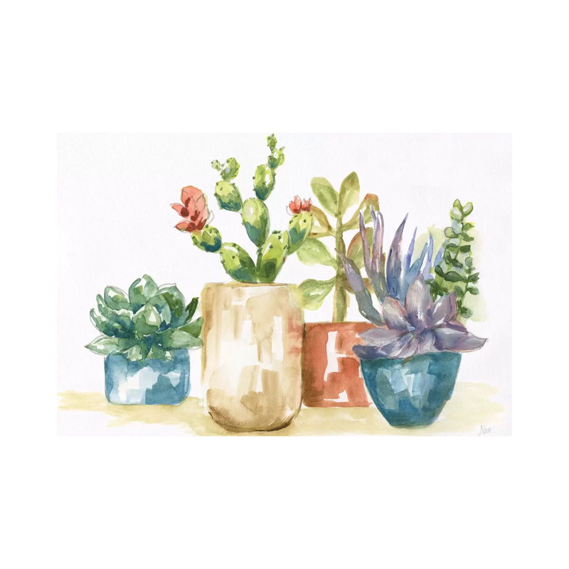 Summer Succulents I - Painting on Canvas, 30.48 cm H x 45.72 cm W, Wrapped Canvas