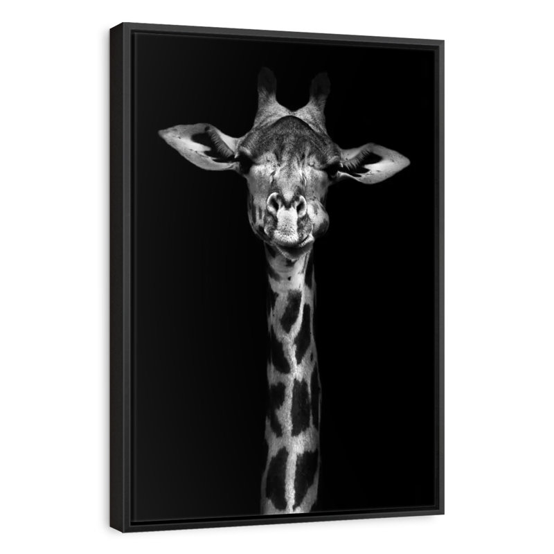 Giraffe Head Monochrome, 13" X 19", Floating Frame Black
